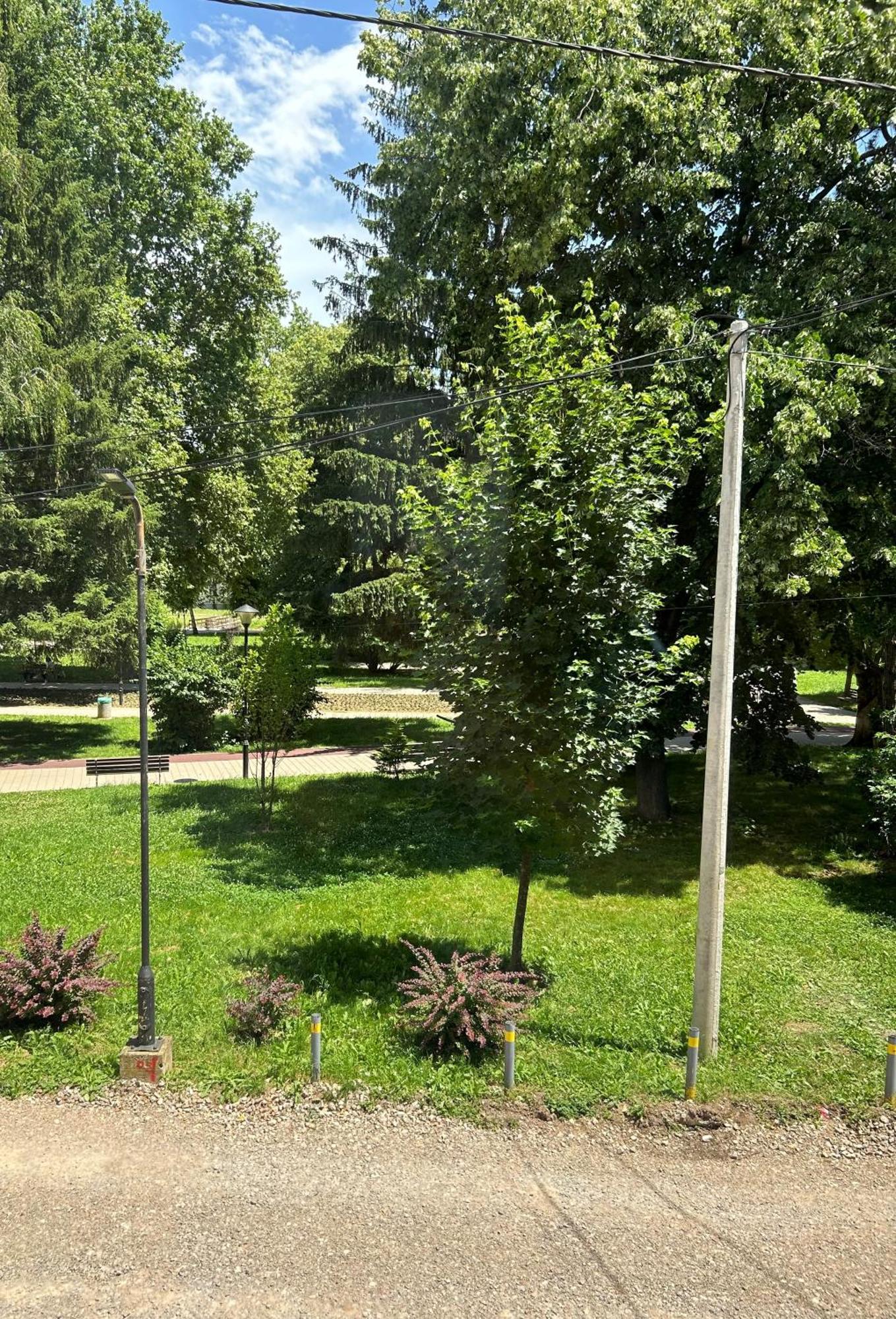 Vila Markovic-A Soko Banja Habitación foto