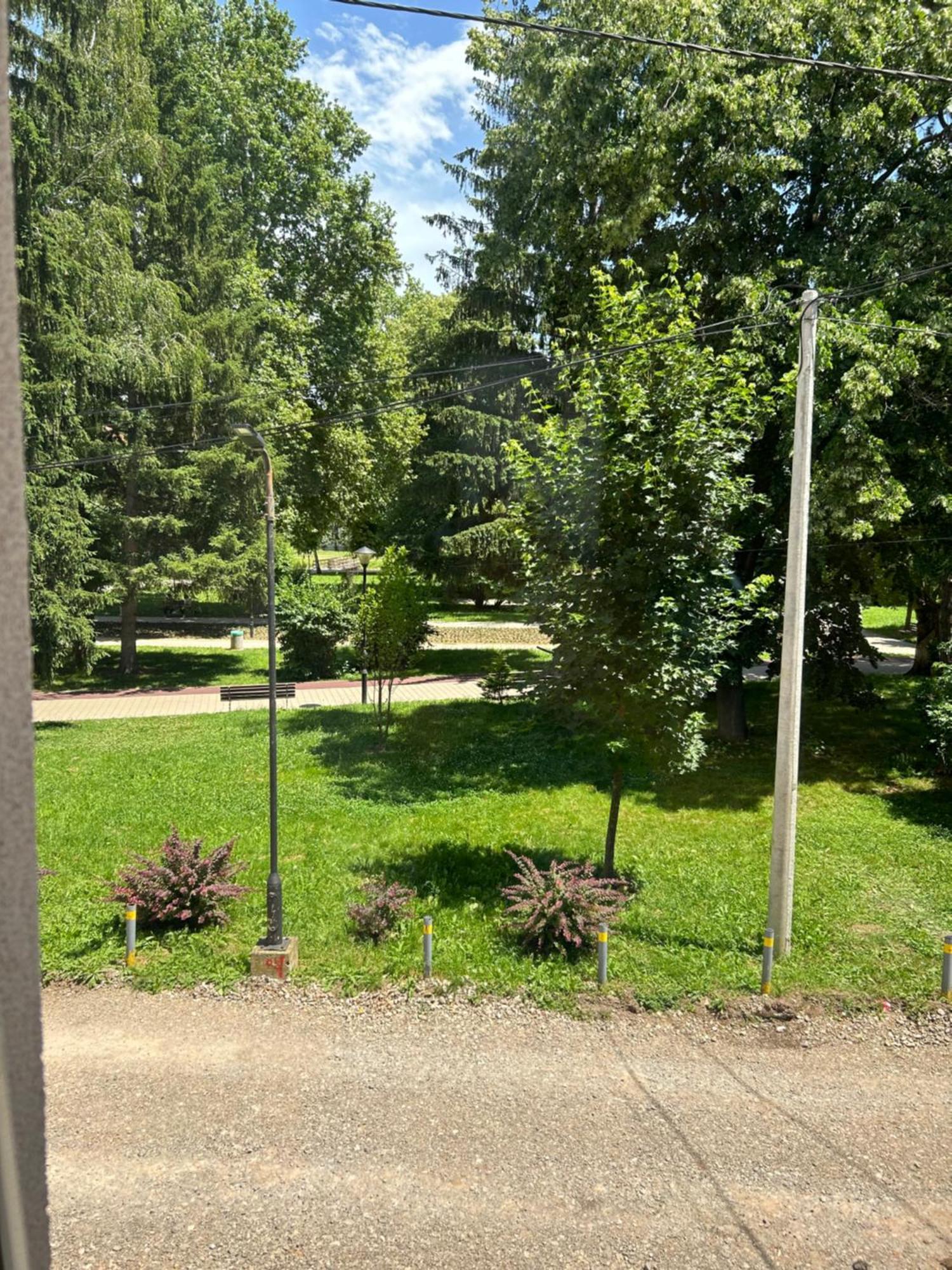 Vila Markovic-A Soko Banja Exterior foto